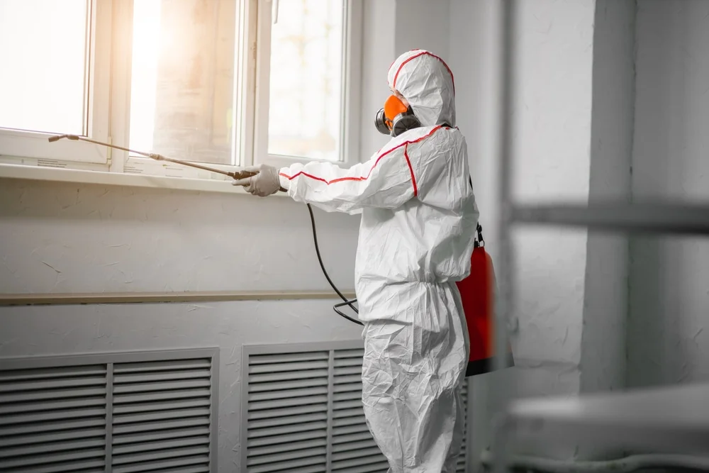 Professional mold remediation services in Pisgah, AL